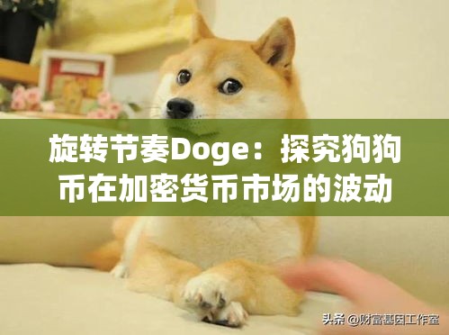 旋转节奏Doge：探究狗狗币在加密货币市场的波动频率与投资者行为关系的独特研究