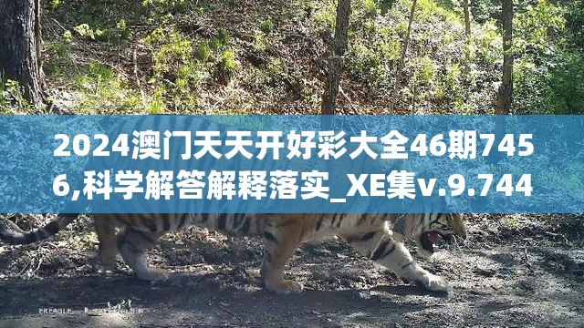 2024澳门天天开好彩大全46期7456,科学解答解释落实_XE集v.9.744