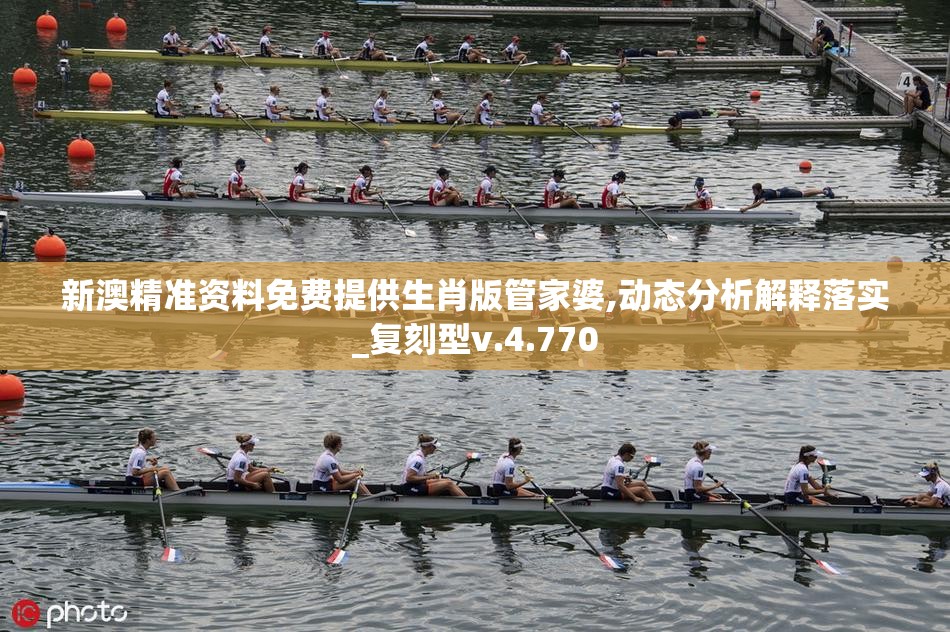 新澳精准资料免费提供生肖版管家婆,动态分析解释落实_复刻型v.4.770