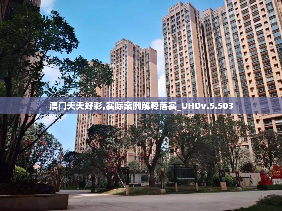 澳门天天好彩,实际案例解释落实_UHDv.5.503