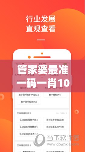 管家婆最准一码一肖100今天的图片,最佳精选解释落实_复古版v.4.300