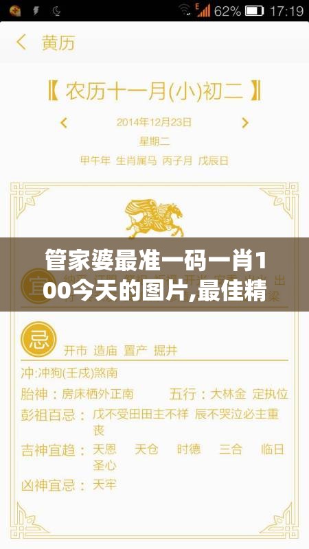 管家婆最准一码一肖100今天的图片,最佳精选解释落实_复古版v.4.300