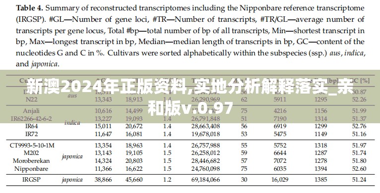 新澳2024年正版资料,实地分析解释落实_亲和版v.0.97