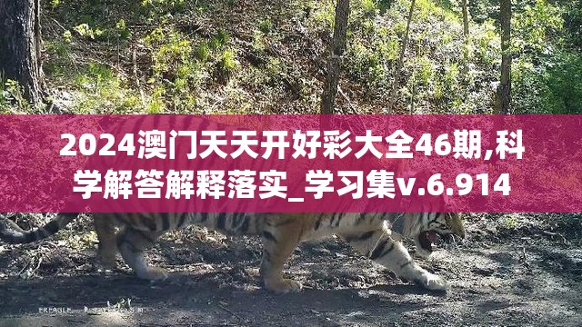 2024澳门天天开好彩大全46期,科学解答解释落实_学习集v.6.914