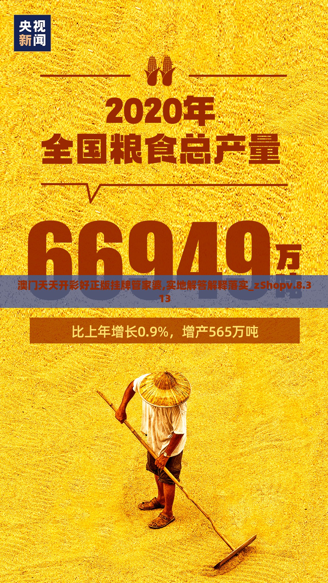 澳门天天开彩好正版挂牌管家婆,实地解答解释落实_zShopv.8.313