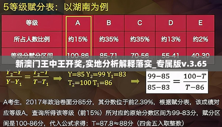 新澳门王中王开奖,实地分析解释落实_专属版v.3.650
