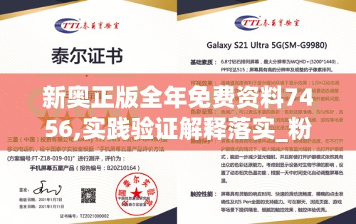 新奥正版全年免费资料7456,实践验证解释落实_粉丝版v.9.381