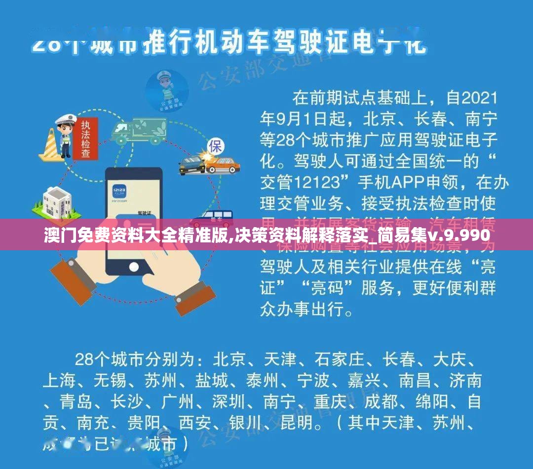 澳门免费资料大全精准版,决策资料解释落实_简易集v.9.990