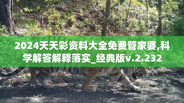 2024天天彩资料大全免费管家婆,科学解答解释落实_经典版v.2.232