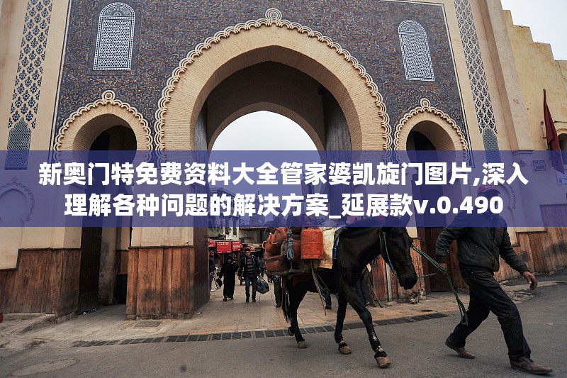 新奥门特免费资料大全管家婆凯旋门图片,深入理解各种问题的解决方案_延展款v.0.490