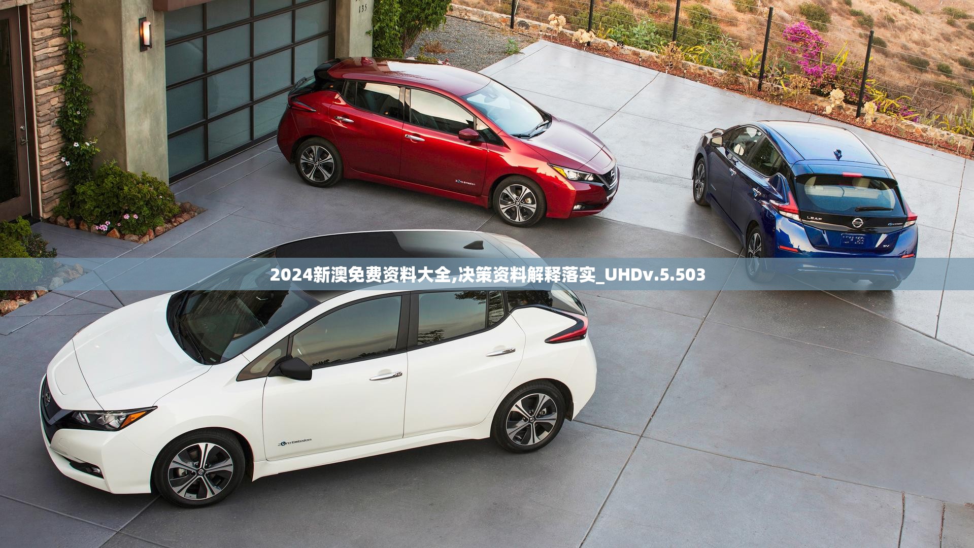 2024新澳免费资料大全,决策资料解释落实_UHDv.5.503
