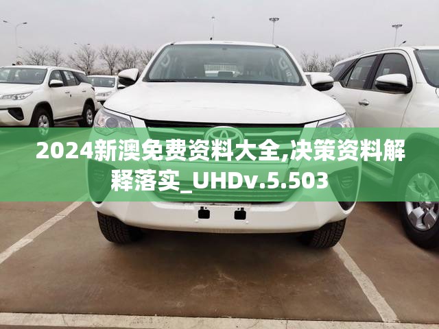 2024新澳免费资料大全,决策资料解释落实_UHDv.5.503
