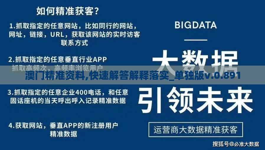 澳门精准资料,快速解答解释落实_单独版v.0.891