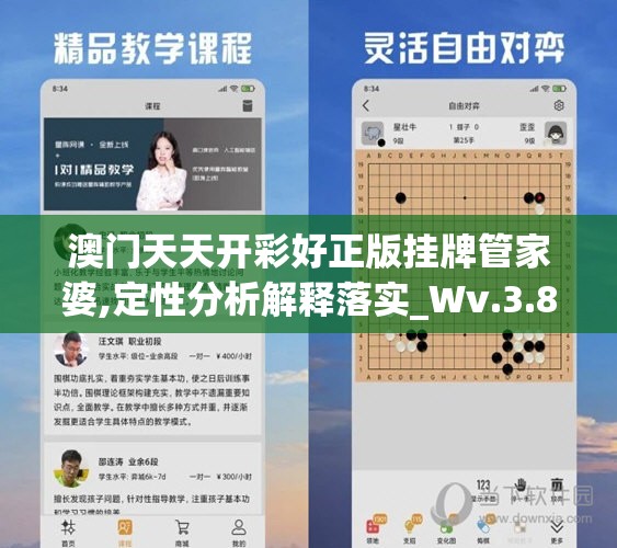 澳门天天开彩好正版挂牌管家婆,定性分析解释落实_Wv.3.830