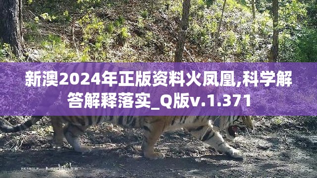 新澳2024年正版资料火凤凰,科学解答解释落实_Q版v.1.371