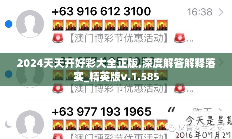 2024天天开好彩大全正版,深度解答解释落实_精英版v.1.585