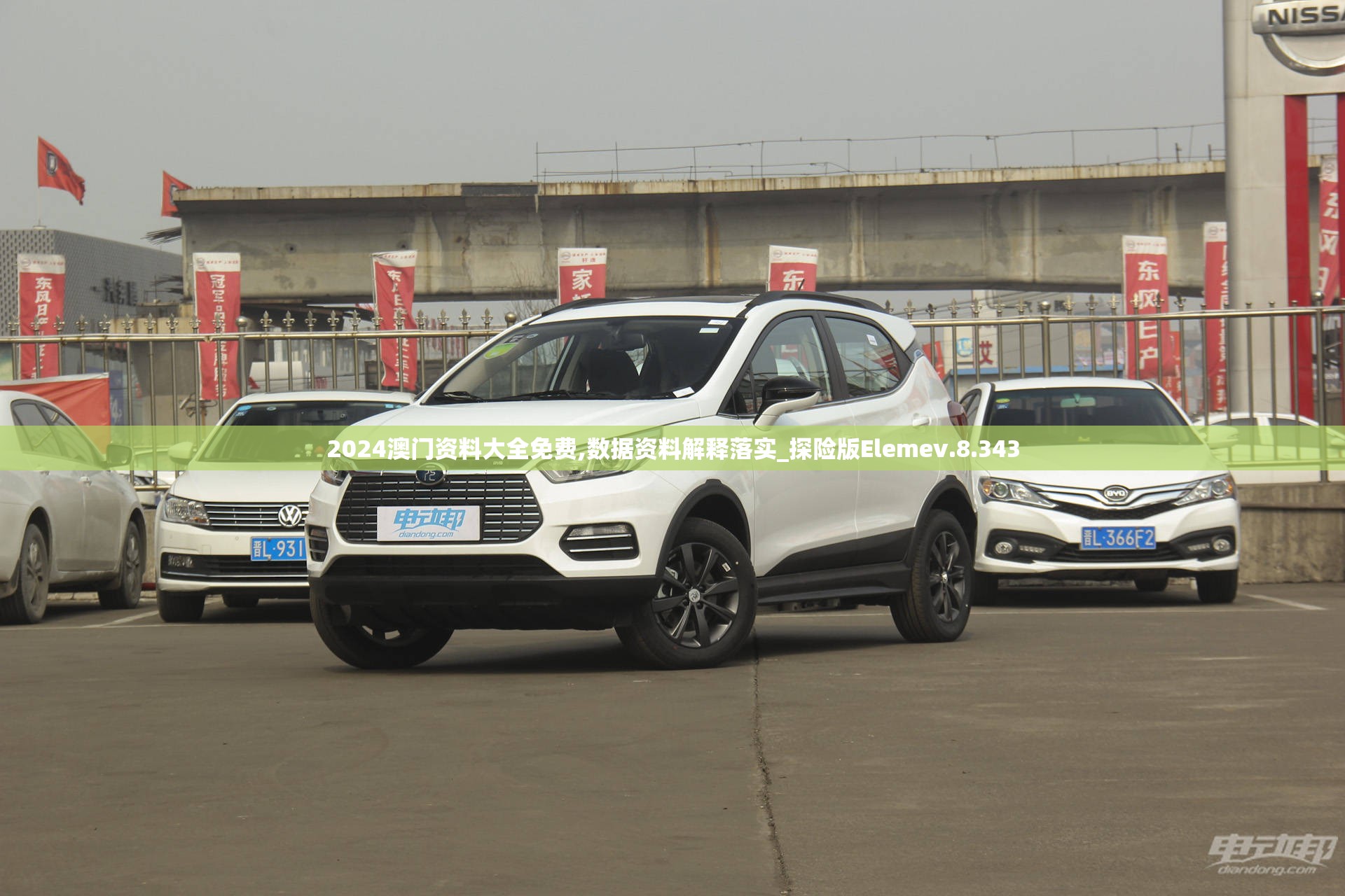 2024澳门资料大全免费,数据资料解释落实_探险版Elemev.8.343