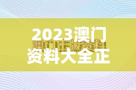 2023澳门资料大全正版资料免费,探讨有效解答的实施方法_RE版v.3.143