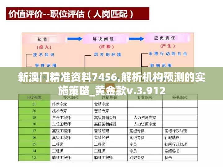 新澳门精准资料7456,解析机构预测的实施策略_黄金款v.3.912