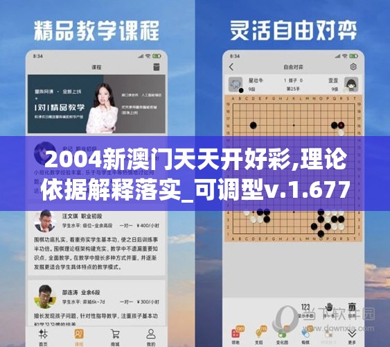2004新澳门天天开好彩,理论依据解释落实_可调型v.1.677