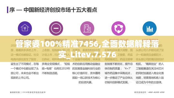 管家婆100%精准7456,全面数据解释落实_Litev.7.576