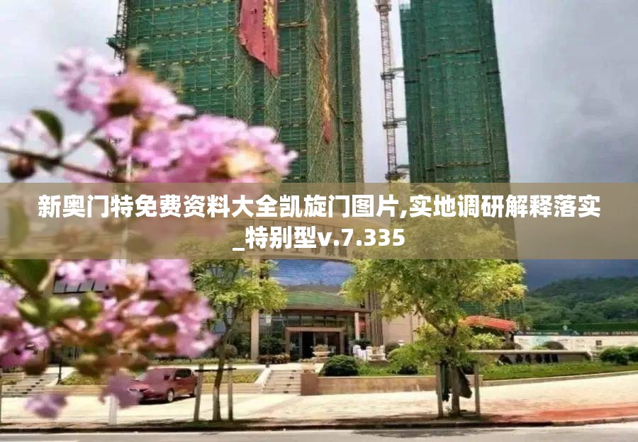 新奥门特免费资料大全凯旋门图片,实地调研解释落实_特别型v.7.335