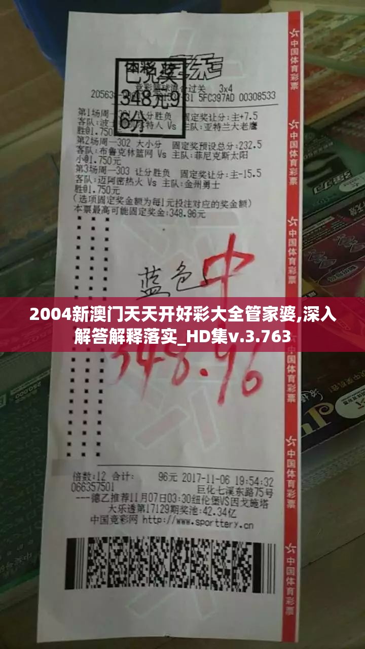 2004新澳门天天开好彩大全管家婆,深入解答解释落实_HD集v.3.763