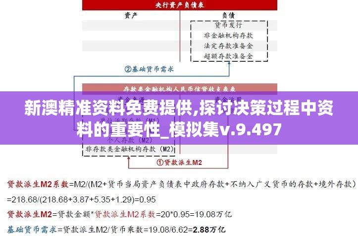 新澳精准资料免费提供,探讨决策过程中资料的重要性_模拟集v.9.497