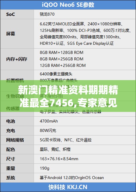 新澳门精准资料期期精准最全7456,专家意见解释落实_SE版v.2.584
