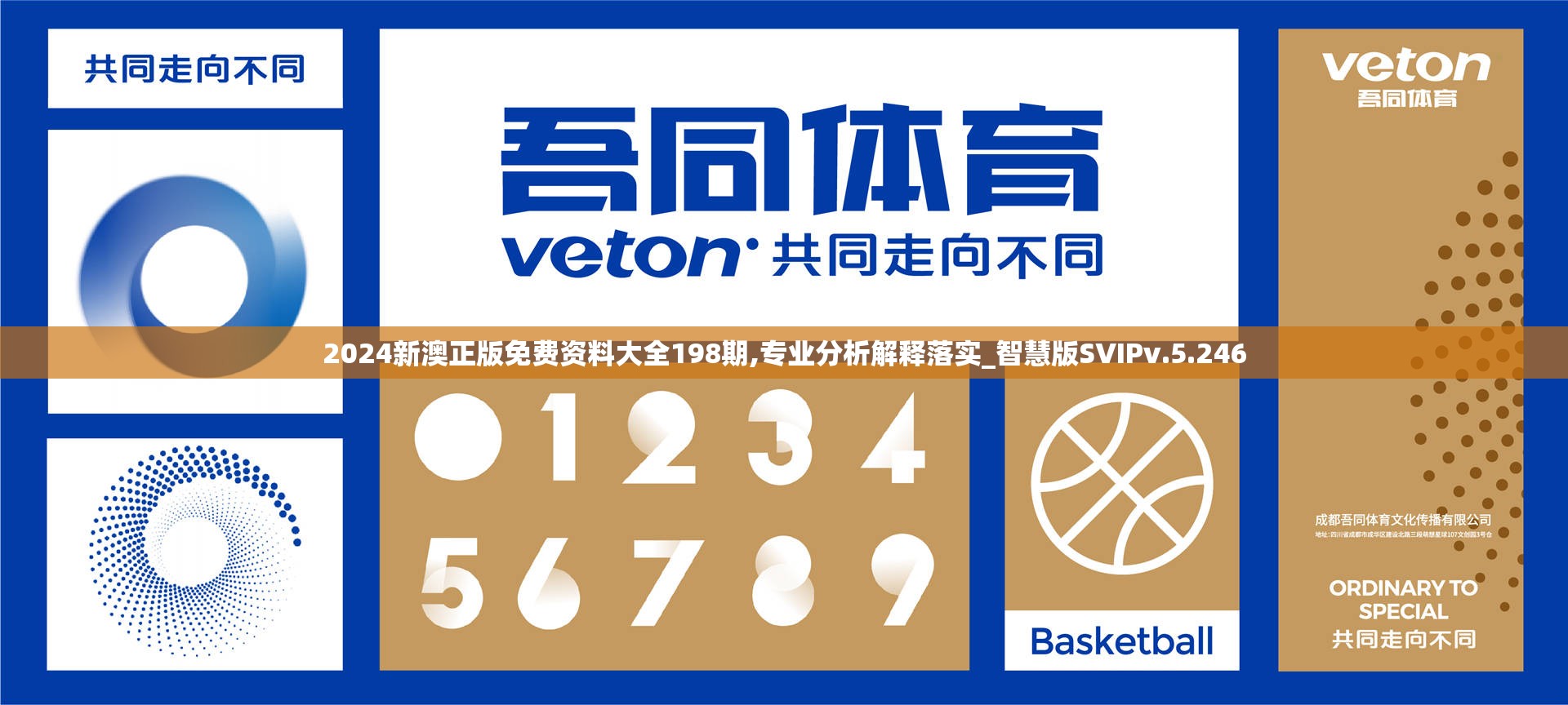 2024新澳正版免费资料大全198期,专业分析解释落实_智慧版SVIPv.5.246