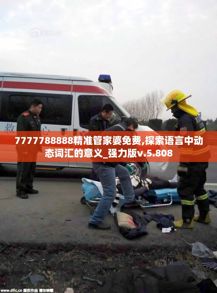 7777788888精准管家婆免费,探索语言中动态词汇的意义_强力版v.5.808