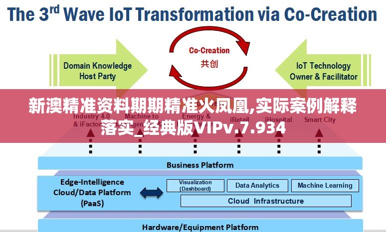 新澳精准资料期期精准火凤凰,实际案例解释落实_经典版VIPv.7.934