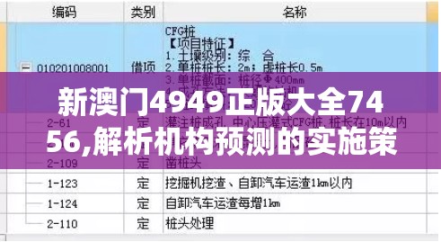新澳门4949正版大全7456,解析机构预测的实施策略_标准版MIixuev.5.433