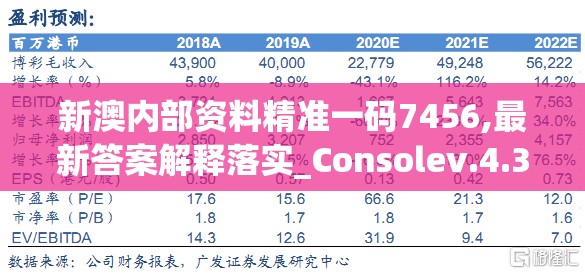 新澳内部资料精准一码7456,最新答案解释落实_Consolev.4.31