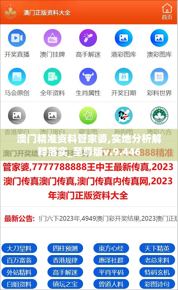 澳门精准资料管家婆,实地分析解释落实_至尊版v.9.446
