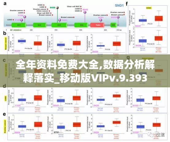 全年资料免费大全,数据分析解释落实_移动版VIPv.9.393