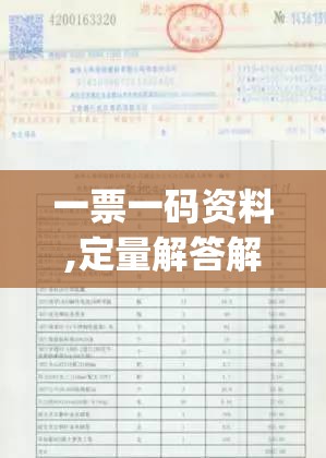 一票一码资料,定量解答解释落实_Litev.7.576