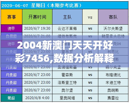2004新澳门天天开好彩7456,数据分析解释落实_战略型v.3.658