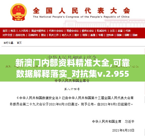 新澳门内部资料精准大全,可靠数据解释落实_对抗集v.2.955
