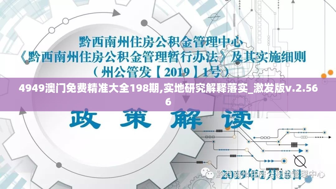 4949澳门免费精准大全198期,实地研究解释落实_激发版v.2.566