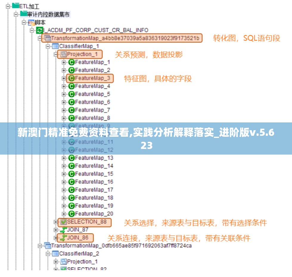 新澳门精准免费资料查看,实践分析解释落实_进阶版v.5.623