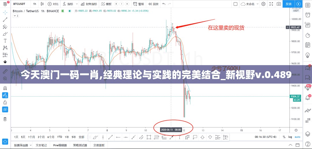 今天澳门一码一肖,经典理论与实践的完美结合_新视野v.0.489