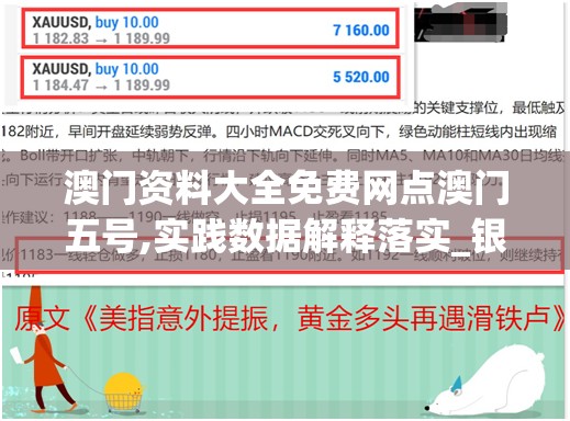 澳门资料大全免费网点澳门五号,实践数据解释落实_银版v.3.988