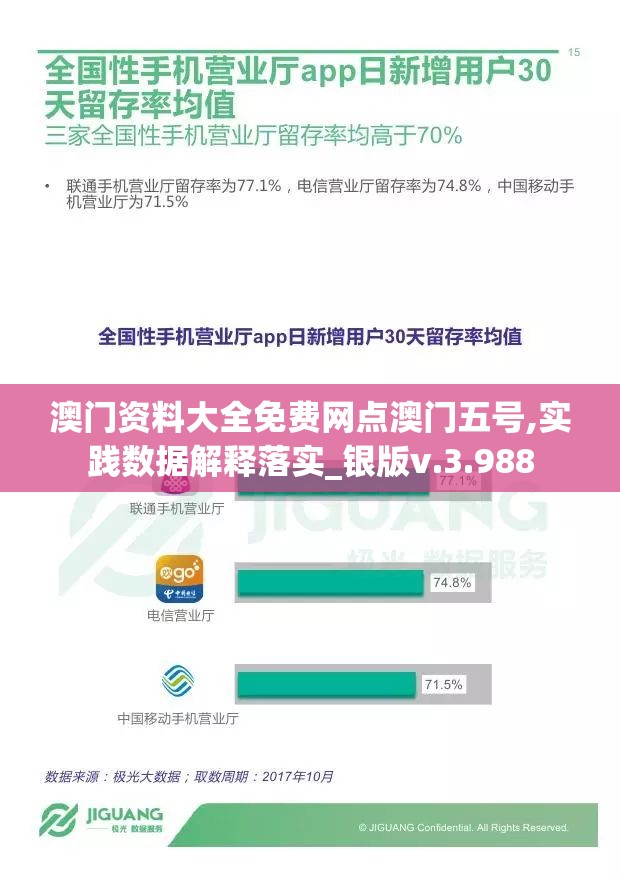 澳门资料大全免费网点澳门五号,实践数据解释落实_银版v.3.988