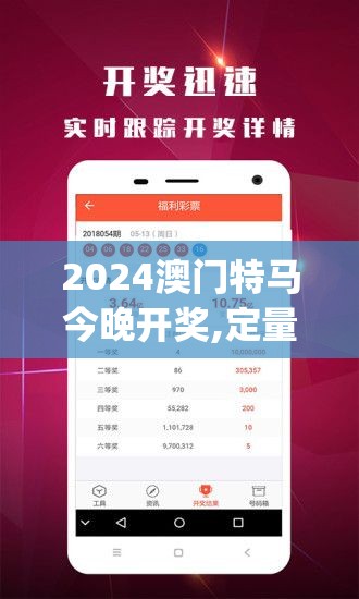 2024澳门特马今晚开奖,定量分析解释落实_精简版HDv.9.447