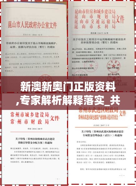 新澳新奥门正版资料,专家解析解释落实_共享品v.8.298