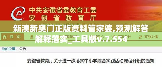 新澳新奥门正版资料管家婆,预测解答解释落实_工具版v.7.554