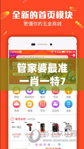 管家婆最准一肖一特7456,实时解答解释落实_游戏版v.3.639