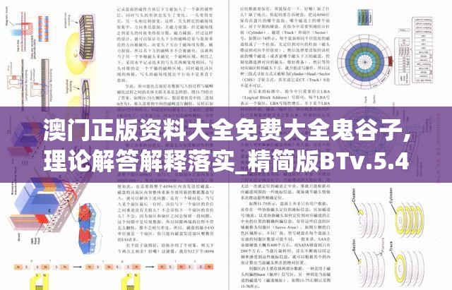 澳门正版资料大全免费大全鬼谷子,理论解答解释落实_精简版BTv.5.408