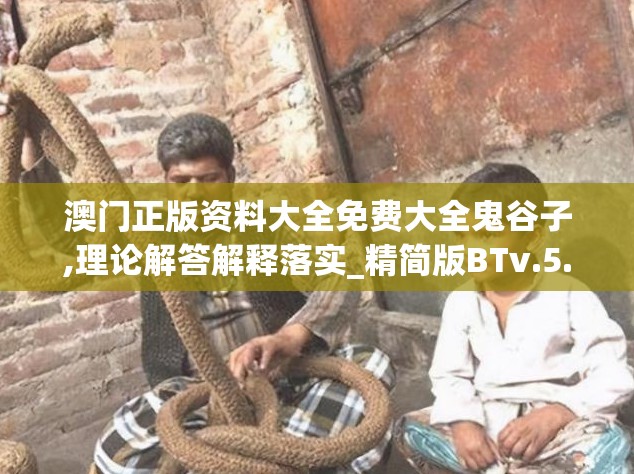 澳门正版资料大全免费大全鬼谷子,理论解答解释落实_精简版BTv.5.408